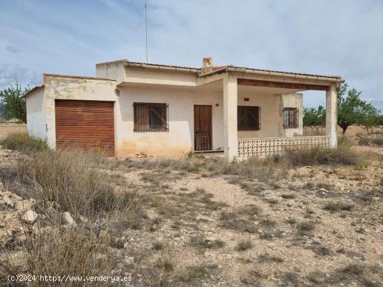 SE VENDE PARCELA CON CASA DE APERO EN PINOSO (ALICANTE) - ALICANTE