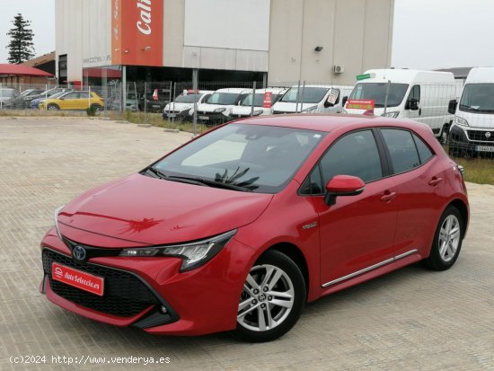 Toyota Corolla 1.8 125H ACTIVE TECH E-CVT - Carcaixent