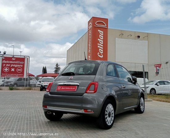 Fiat 500 Dolcevita 1.0 Hybrid 51KW (70 CV) GRIS 2022 - Carcaixent