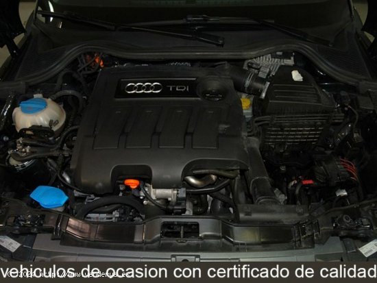 Audi A1 1.6 TDI 90cv Attraction - Las Rozas de Madrid