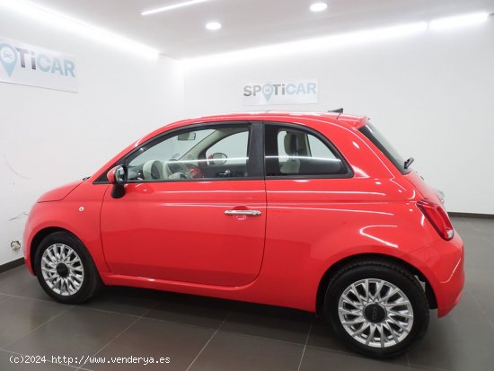 Fiat 500 Lounge 1.0 6v GSE 52KW (70 CV) - Manises