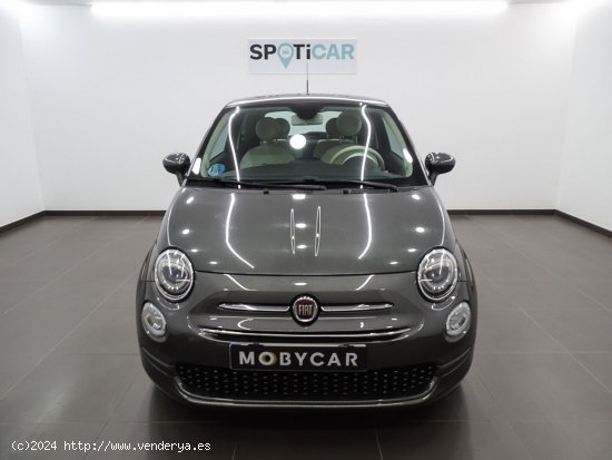 Fiat 500 Lounge 1.0 6v GSE 52KW (70 CV) - Manises