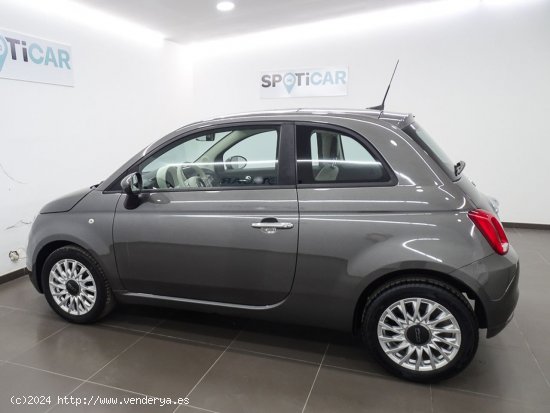 Fiat 500 Lounge 1.0 6v GSE 52KW (70 CV) - Manises