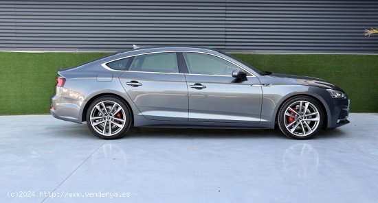 Audi A5 Sportback sport 40 TDI S-tronic S line, Matrix, Gris Daytona - Beniajan