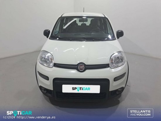 Fiat Panda   Hybrid 1.0 Gse 51kw (70CV) City Life - Sant Boi de Llobregat