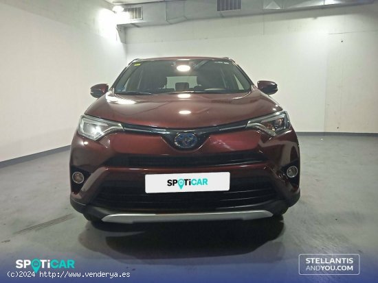 Toyota Rav4  2.5l hybrid 4WD ! Feel - Sant Feliu de Llobregat