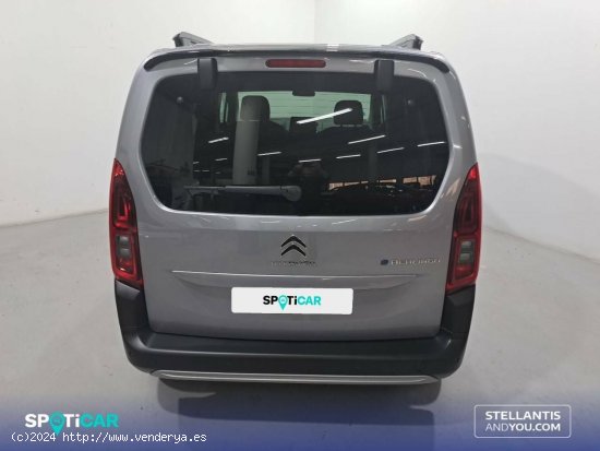 Citroën Berlingo  Talla M ë-Berlingo 50 kWh Shine - Sant Boi de Llobregat