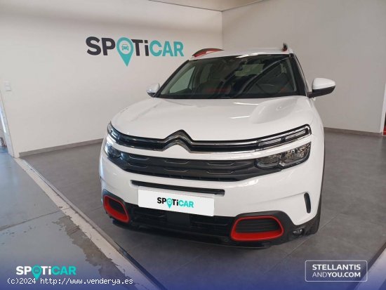 Citroën C5 Aircross  PureTech 96kW (130CV) S&S Feel - Zaragoza