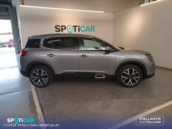 Citroën C5 Aircross  PureTech 96kW (130CV) S&S Feel - Zaragoza