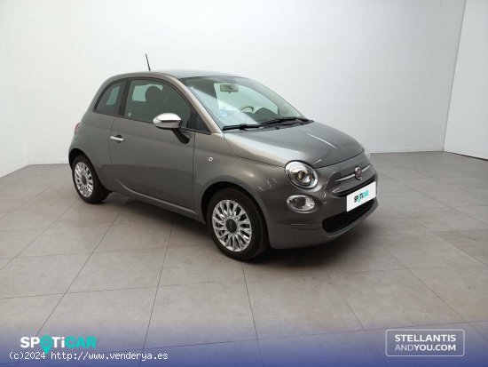 Fiat 500   1.0 Hybrid 51KW (70 CV) Dolcevita - Zaragoza