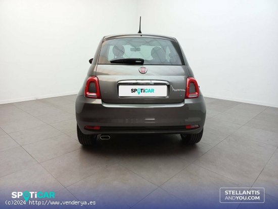 Fiat 500   1.0 Hybrid 51KW (70 CV) Dolcevita - Zaragoza