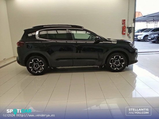 Citroën C5 Aircross  BlueHdi 96kW (130CV) S&S EAT8 Feel Pack - Oleiros