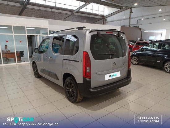 Citroën Berlingo  Talla M ë-Berlingo 50 kWh Shine - Polígono Industrial de Son Castelló