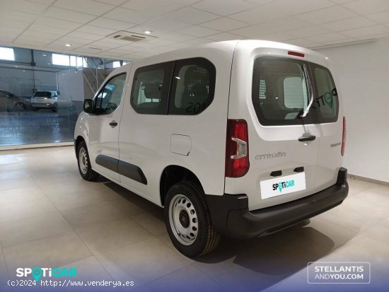 Citroën Berlingo  Talla M BlueHDi 100 S&S You - Almería