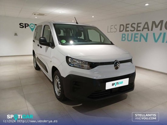 Citroën Berlingo  Talla M BlueHDi 100 S&S You - Almería