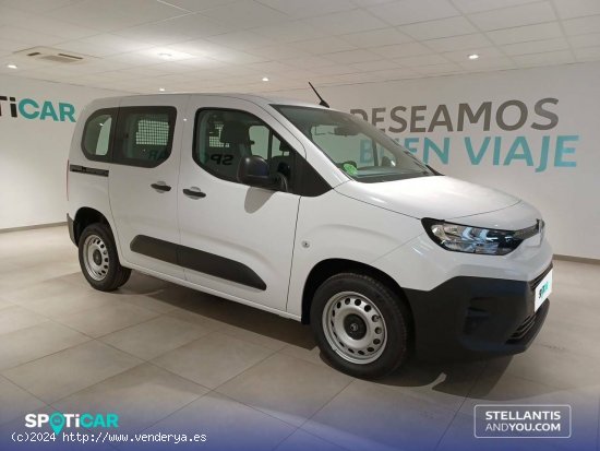 Citroën Berlingo  Talla M BlueHDi 100 S&S You - Almería