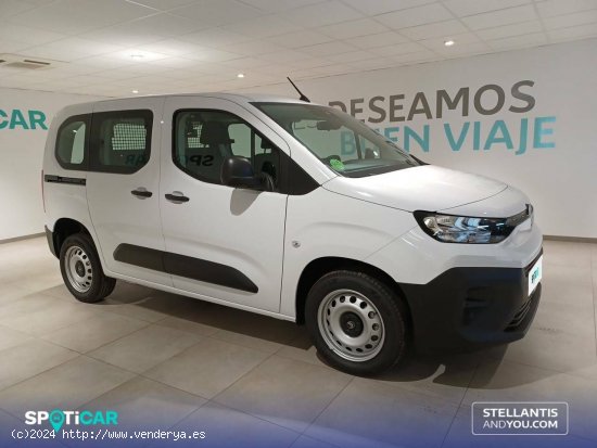 Citroën Berlingo  Talla M BlueHDi 100 S&S You - Almería