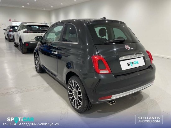 Fiat 500   1.0 Hybrid 51KW (70 CV) Dolcevita - Almería