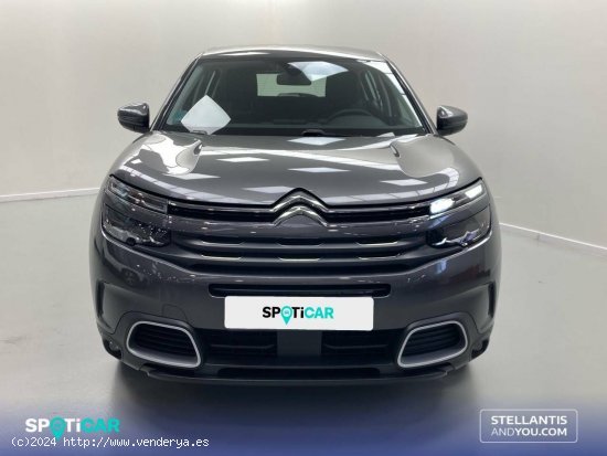 Citroën C5 Aircross  PureTech 96kW (130CV) S&S Live Pack - Sevilla