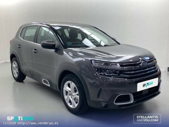 Citroën C5 Aircross  PureTech 96kW (130CV) S&S Live Pack - Sevilla