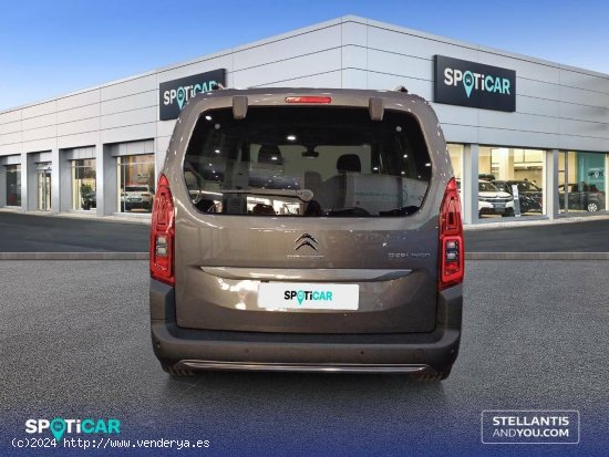 Citroën Berlingo  Talla M BlueHDi 100 S&S Shine - Málaga