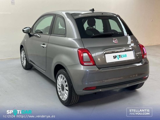 Fiat 500   1.0 Hybrid 51KW (70 CV) Monotrim - Sevilla