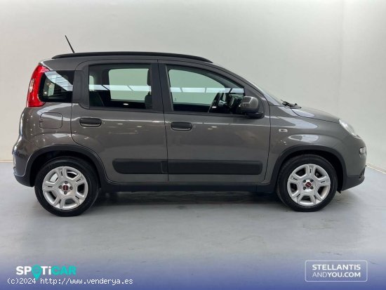 Fiat Panda   Hybrid 1.0 Gse 51kw (70CV) City Life - Sevilla