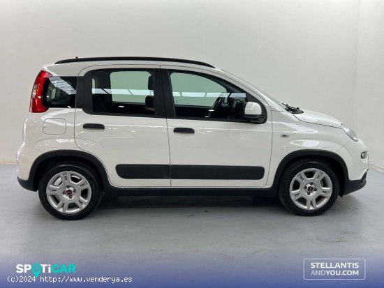 Fiat Panda   Hybrid 1.0 Gse 51kw (70CV) City Life - Sevilla