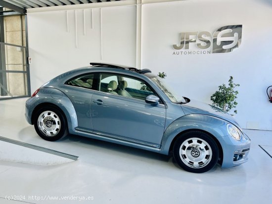 Volkswagen Beetle 2.0 TDI 150 CV - Benalup