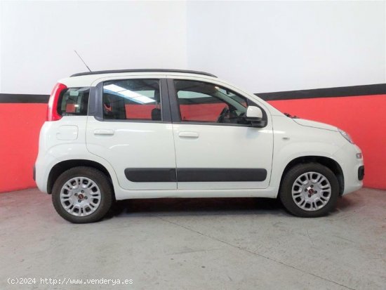 Fiat Panda 1.2 69CV Lounge - Elche