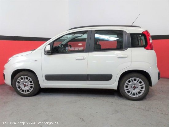 Fiat Panda 1.2 69CV Lounge - Elche