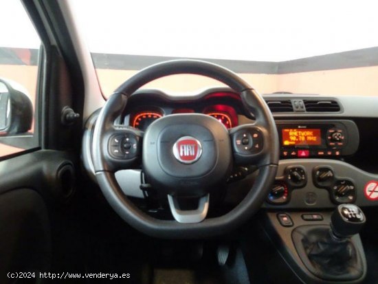 Fiat Panda 1.2 69CV Lounge - Elche