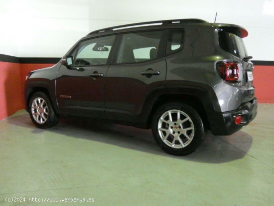 Jeep Renegade 1.6 MJET 120CV Limited - Mahon