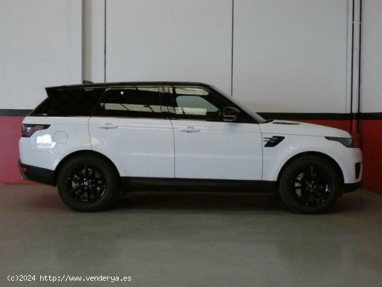 Land-Rover Range Rover Sport 3.0 D 300CV MHEV AWD Auto SE - Sant Jordi de Ses Salines