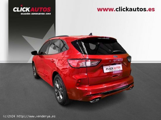 Ford Kuga 1.5 Ecoboost 150CV STLine-X - Palma de Mallorca