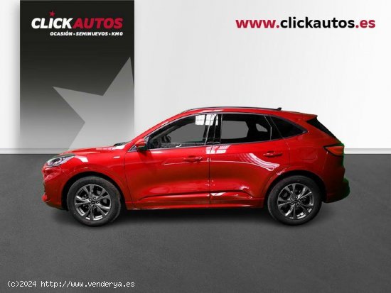 Ford Kuga 1.5 Ecoboost 150CV STLine-X - Palma de Mallorca