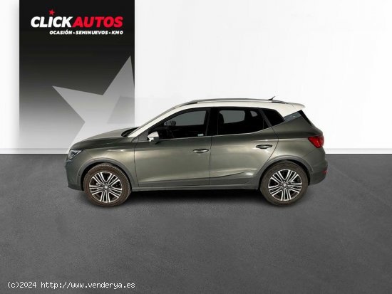 Seat Arona 1.0 TSI 110CV Xperience XL - Mahon