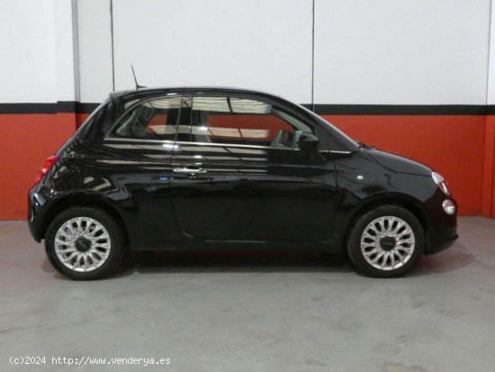 Fiat 500 1.2 69CV Lounge - Riba-roja del turia