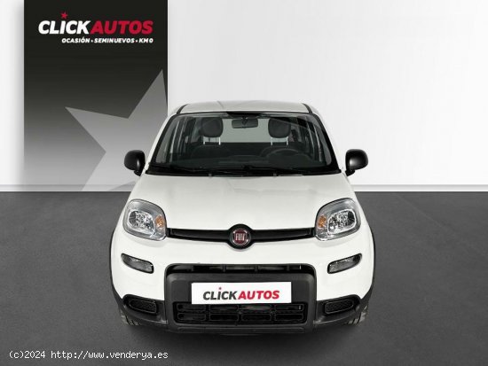 Fiat Panda 1.0 70CV Hybrid - Riba-roja del turia