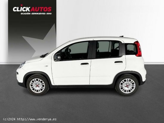 Fiat Panda 1.0 70CV Hybrid - Riba-roja del turia