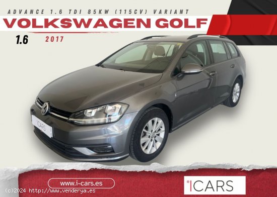 Volkswagen Golf Advance 1.6 TDI 85kW (115CV) Variant - Alzira