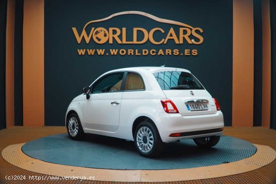 Fiat 500 Cult 1.0 Hybrid 51KW (70 CV) - Valencia