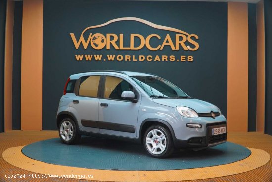 Fiat Panda City Life Hybrid 1.0 Gse 51kw (70CV) - San Vicente del Raspeig