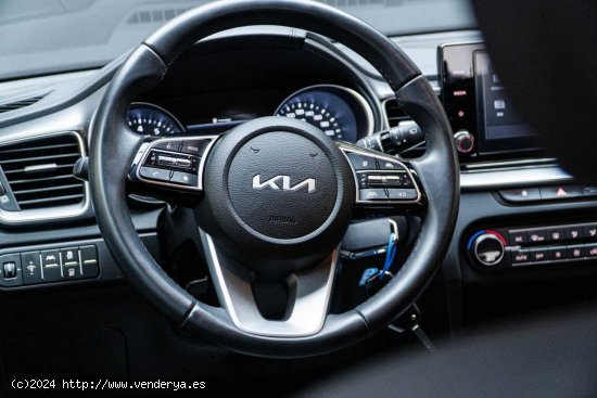 Kia XCeed 1.0 T-GDi Drive 88kW (120CV) - San Vicente del Raspeig