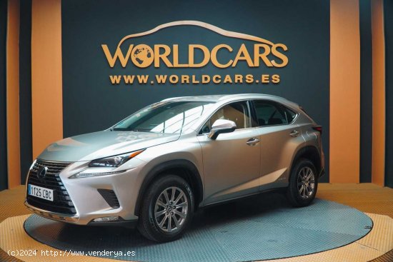  Lexus NX 2.5 300h Business Navigation 2WD - Valencia 