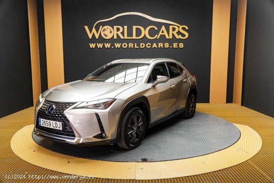 Lexus UX 2.0 250h Business Navigation - San Vicente del Raspeig