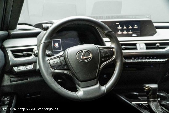 Lexus UX 2.0 250h Business Navigation - San Vicente del Raspeig