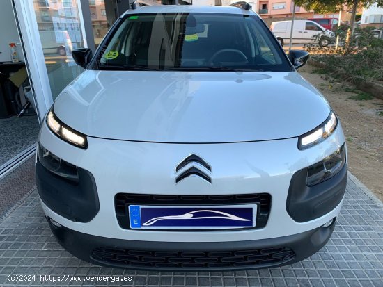 Citroën C4 Cactus e-HDi Shine AUT - Palamós