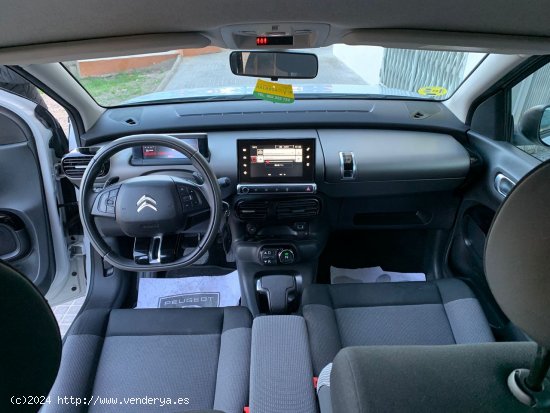 Citroën C4 Cactus e-HDi Shine AUT - Palamós