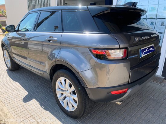 Land-Rover Range Rover Evoque 2.0 eD4 2WD 16v - Palamós